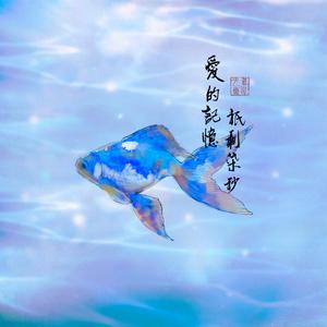 爱的记忆只剩七秒