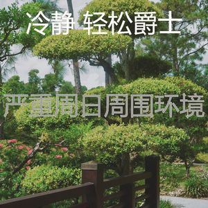 柔和的放松的时刻