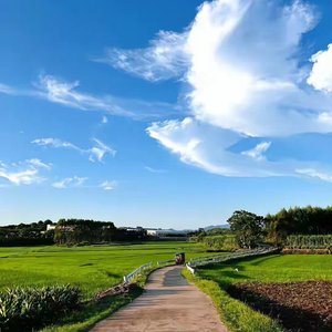 《你依然是我的祖国》.wav