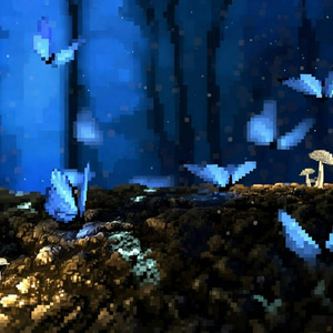 The Beginning of the Journey