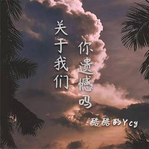 关于我们你遗憾吗