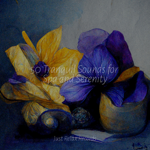 Tranquil Visions Within