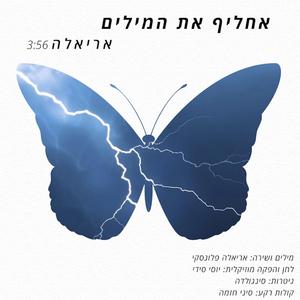 I'll change the words- אחליף את המילים