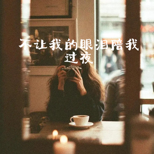 不让我的眼泪陪我过夜