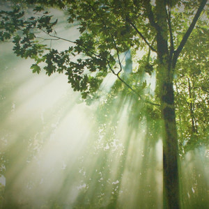 信じる (混声四部合唱版（covered by Chis-A）)