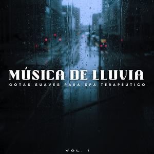 A Medida Que Llegan Las Lluvias De Verano