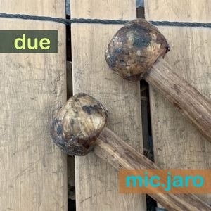 Due