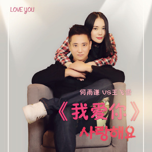 我爱你 (DJ版)