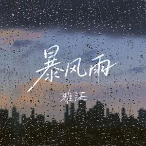 暴风雨(Remix)