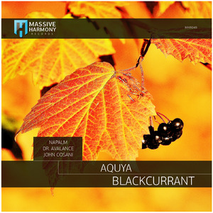 Blackcurrant