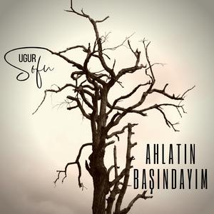 Ahlatın Başındayım