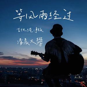 等风雨经过（吉他纯净版）