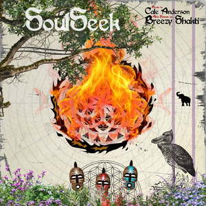Soulseek