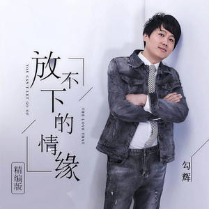 放不下的情缘 (精编版伴奏)