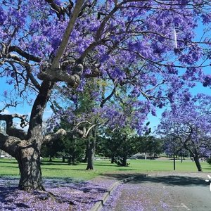 人间最得意片尾曲