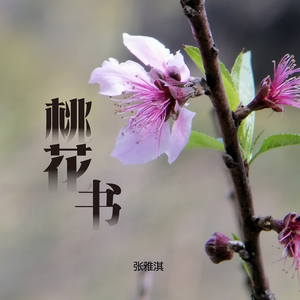 桃花书