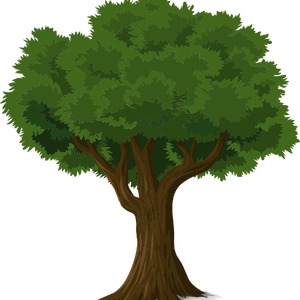 NO theme(无主题）