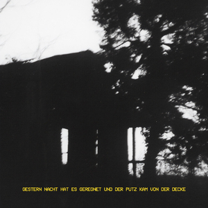 Gestern Nacht hat es geregnet und der Putz kam von der Decke