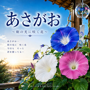 あさがお