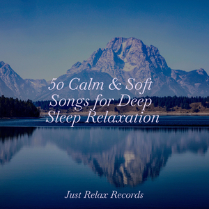 Lunar Lullaby's Whispers