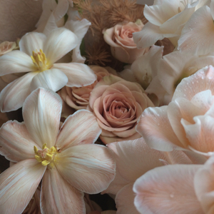 灯塔----C-BLOCK（JanBar1n remix）