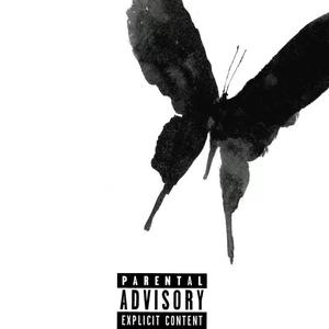 茧 (Prod.ciorxmirela)