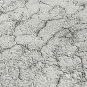 *･゜ﾟ･*:.｡.｡. .｡.:*･゜ﾟ･*