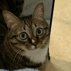 Miss u（prod by 181）