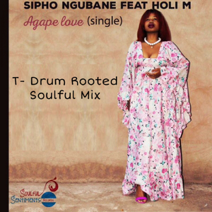 Agape Love (T-Drum's Rooted Soulful Mix)