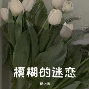 模糊地迷恋你一场（翻自 张张）