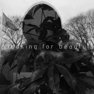looking for beauty