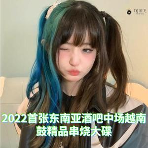 DJ国飞-2022首张东南亚酒吧中场越南鼓精品串烧大碟（DJ国飞 remix）