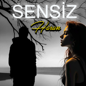 Sensiz
