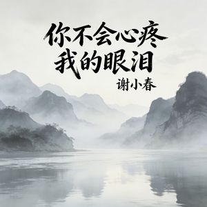 你不会心疼我的眼泪