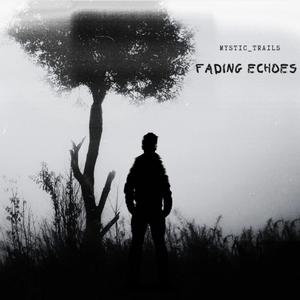 Fading Echoes