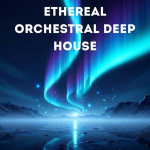 House Orchestral Vibes