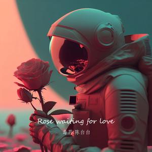 等爱的玫瑰