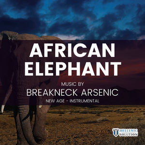 Arctogalidia Trivirgata