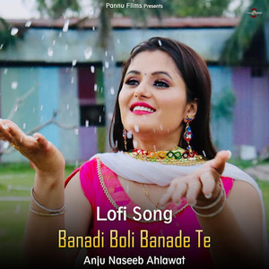 Banadi Boli Banade Te (lofi remix)