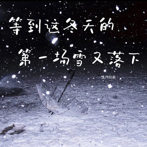 等到这冬天的第一场雪又落下