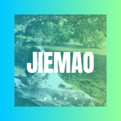 多少柔情多少梦 (DJ版)