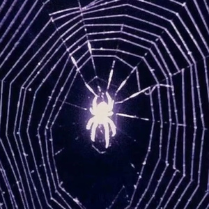 Dead Silent Block (死寂街区)