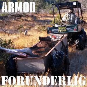 Forunderlig (Då æ'kje Svein sein)