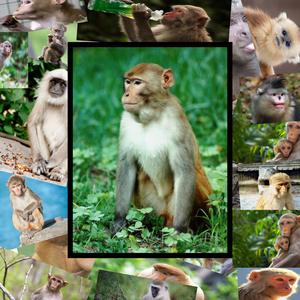 Sax Club (feat. BroskiBeats & Nicolas Ferrante)