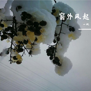 窗外风起