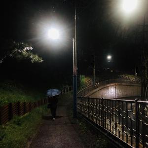 清明雨上
