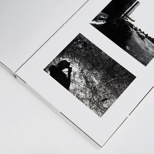 我等到花儿也谢了