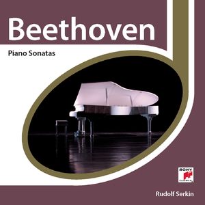 Piano Sonata No. 12 in A-Flat Major, Op. 26 "Funeral March":IV. Allegro