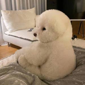 方大同-特别的人（24k remix）