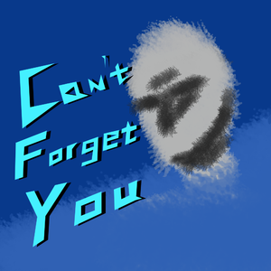 Can't Forget You